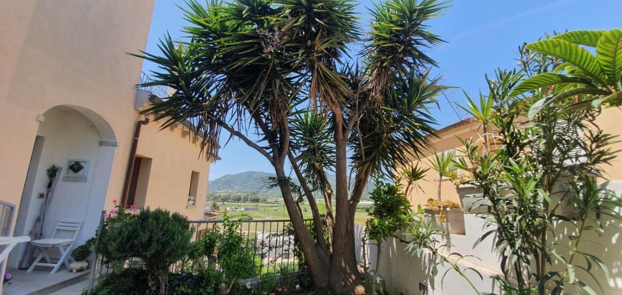 أولبيا B&B Villa Orchidea المظهر الخارجي الصورة