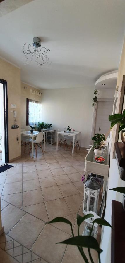 أولبيا B&B Villa Orchidea المظهر الخارجي الصورة